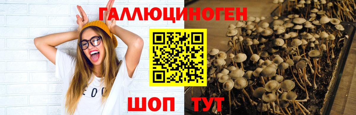 Alpha-PVP Кострома